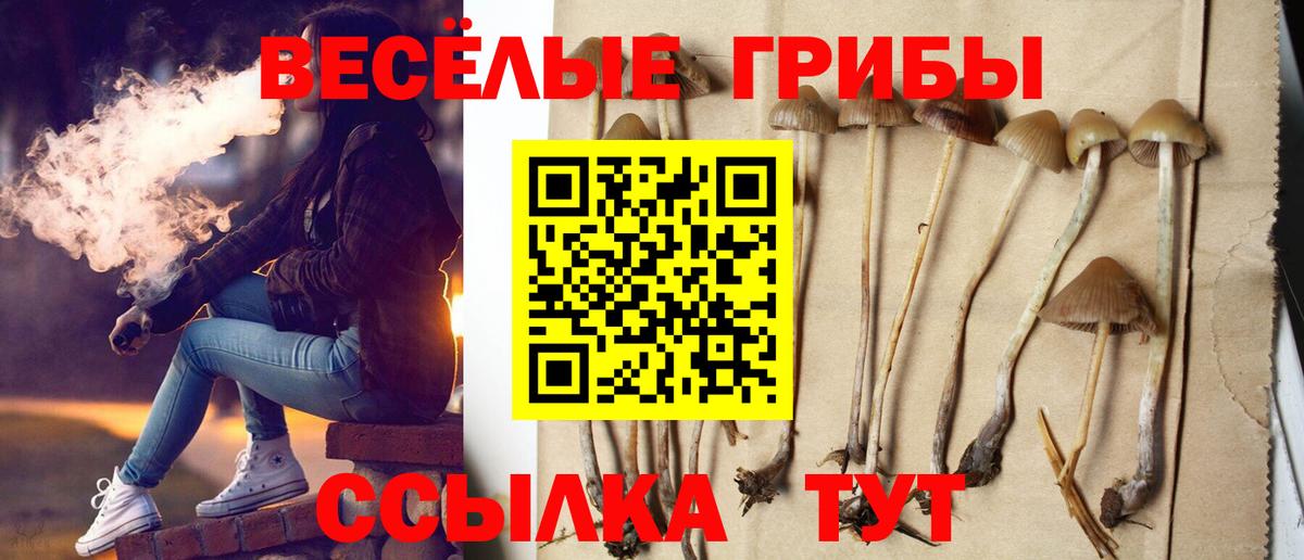 Пушкино  Псилоцибиновые грибы прущие грибы  Вход с VPN 