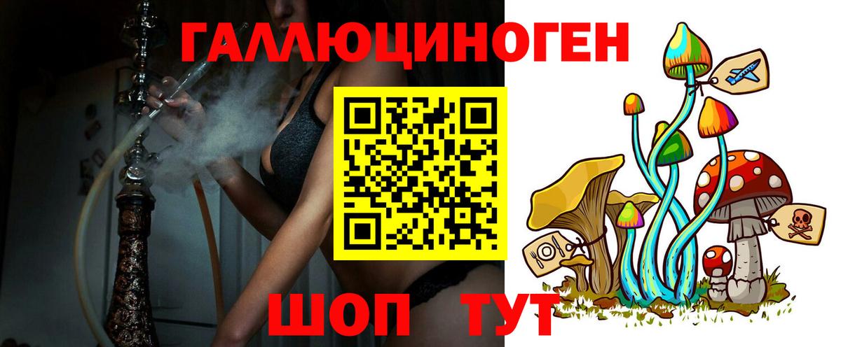 Галлюциногенные грибы Psilocybe Пушкино